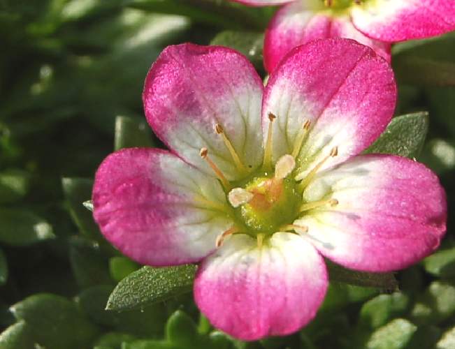 b0017645_22544540.jpg