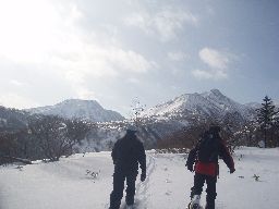 d0043161_012881.jpg
