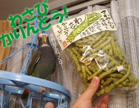 わさびかりんとう 1月12日土曜日 東京 晴天 わびさび日記 わさびかりんとう 1月12日土曜日 東京 晴天 わびさび日記