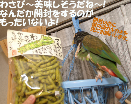 わさびかりんとう 1月12日土曜日 東京 晴天 わびさび日記 わさびかりんとう 1月12日土曜日 東京 晴天 わびさび日記