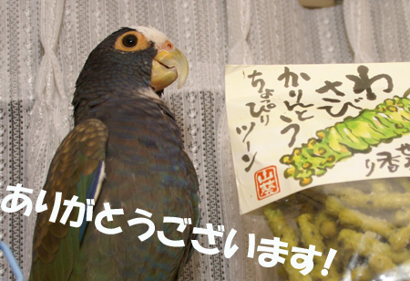 わさびかりんとう 1月12日土曜日 東京 晴天 わびさび日記 わさびかりんとう 1月12日土曜日 東京 晴天 わびさび日記