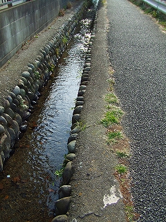 d0078178_18594468.jpg
