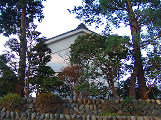 d0078178_190241.jpg