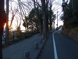 d0078178_1911631.jpg