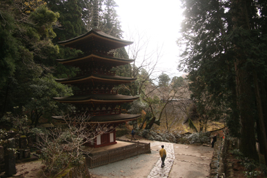 a0045381_728107.jpg