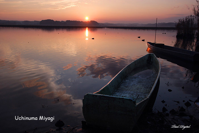 宮城県・内沼夕景_c0059485_1828882.jpg