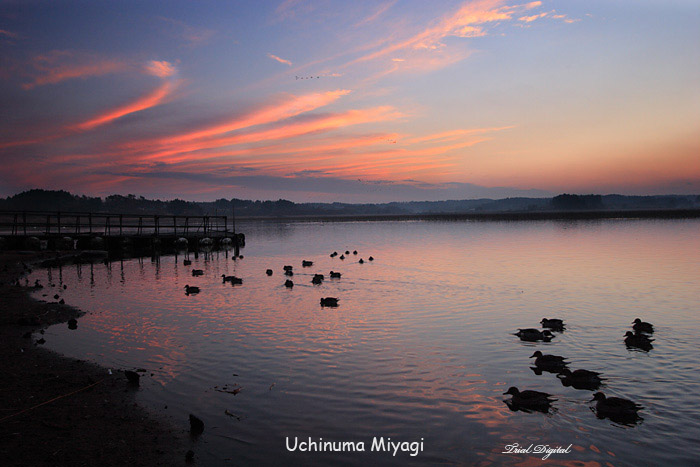 宮城県・内沼夕景_c0059485_18293374.jpg