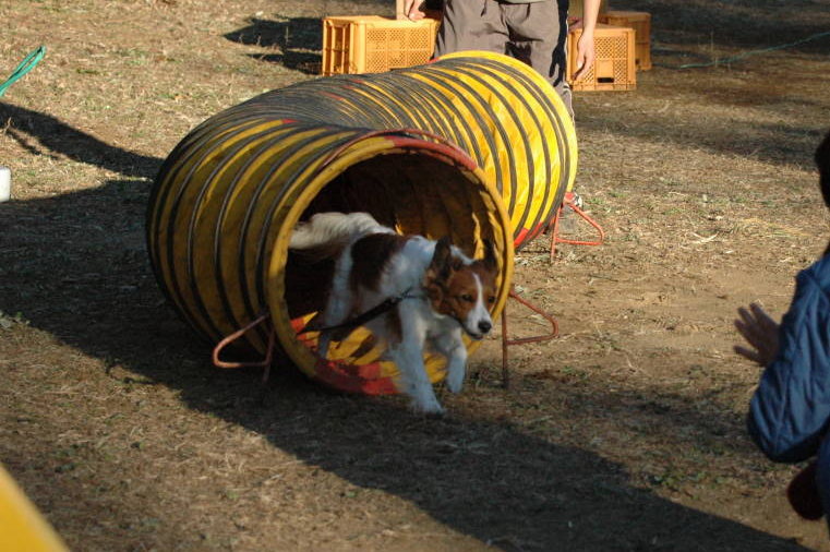 c0075585_145987.jpg