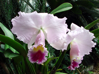 d0007501_1522599.jpg