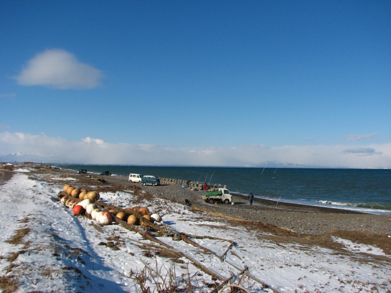f0020302_201411.jpg