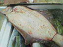 e0028505_4383541.jpg