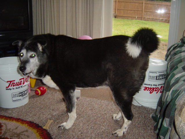 c0079011_11474263.jpg