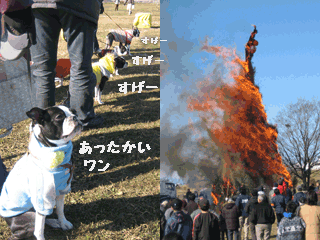 e0080117_2121335.gif