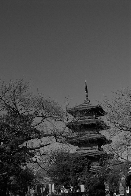 池上本門寺（白黒）その1_f0113518_19235115.jpg