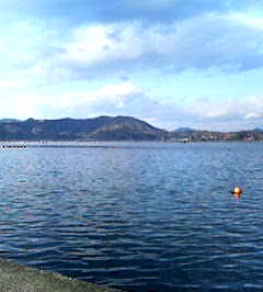 e0108719_10202666.jpg