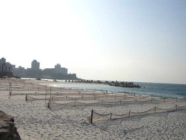 f0117723_005830.jpg