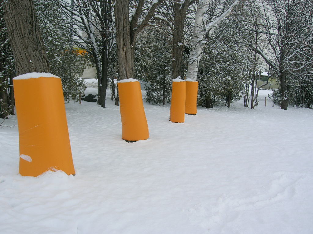 f0051125_21392967.jpg