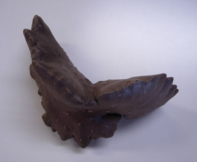 e0097534_1661213.jpg