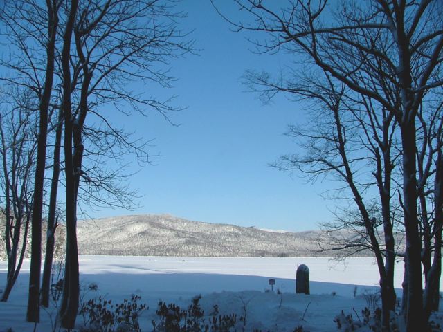 a0057237_15113548.jpg
