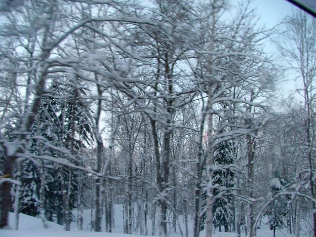 a0057237_152138.jpg