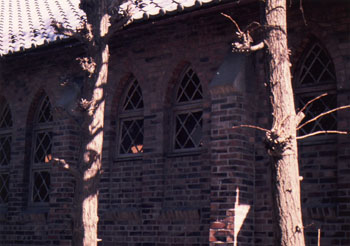 e0098739_17173875.jpg