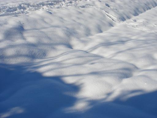 雪の感触_a0014840_21253591.jpg