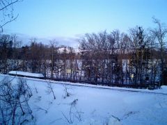 c0046846_19585829.jpg