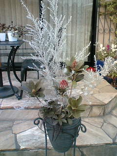 吉谷 桂子さんのトークショー Kusakiの この植物をお買い