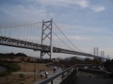 c0025481_2055480.jpg