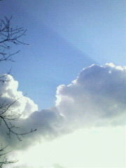 c0082785_17574019.jpg