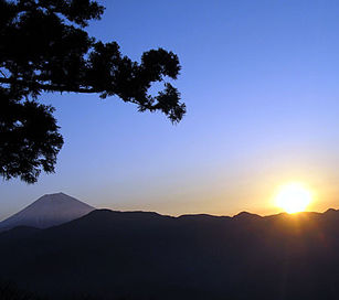 2007年の初日の出は身延山山頂で！_b0082891_11504062.jpg