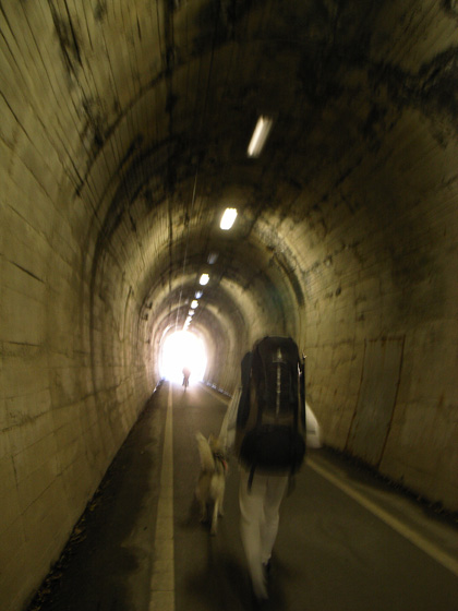 冬へんろ 第4日め ~2006年12月30日_c0049299_2220439.jpg