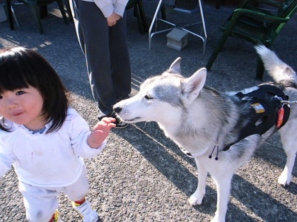 冬へんろ 第4日め ~2006年12月30日_c0049299_22235448.jpg