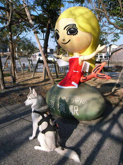 冬へんろ 第4日め ~2006年12月30日_c0049299_22242759.jpg