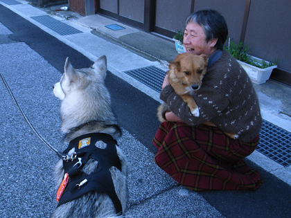 冬へんろ 第4日め ~2006年12月30日_c0049299_2232379.jpg