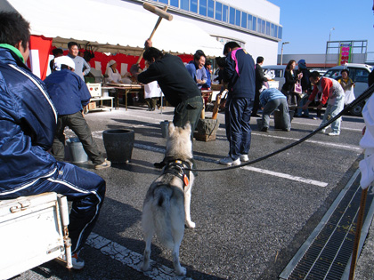 冬へんろ 第4日め ~2006年12月30日_c0049299_22343151.jpg
