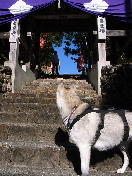 冬へんろ 第4日め ~2006年12月30日_c0049299_2238207.jpg