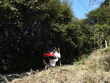 冬へんろ 第4日め ~2006年12月30日_c0049299_22383430.jpg
