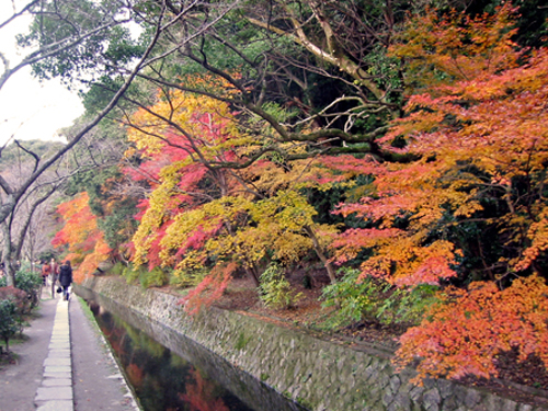 関西三都巡り・京都編02_c0028405_12365240.jpg