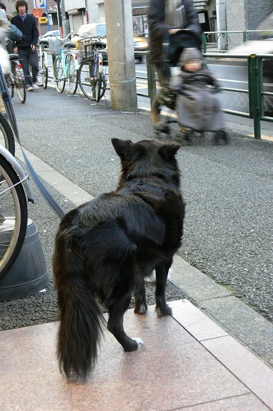 c0082606_14547.jpg