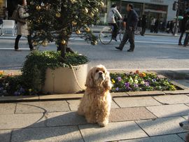 b0075824_15153436.jpg