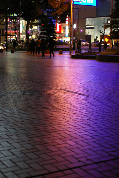d0103236_20444995.jpg
