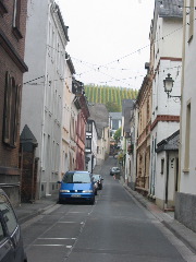b0039373_228541.jpg