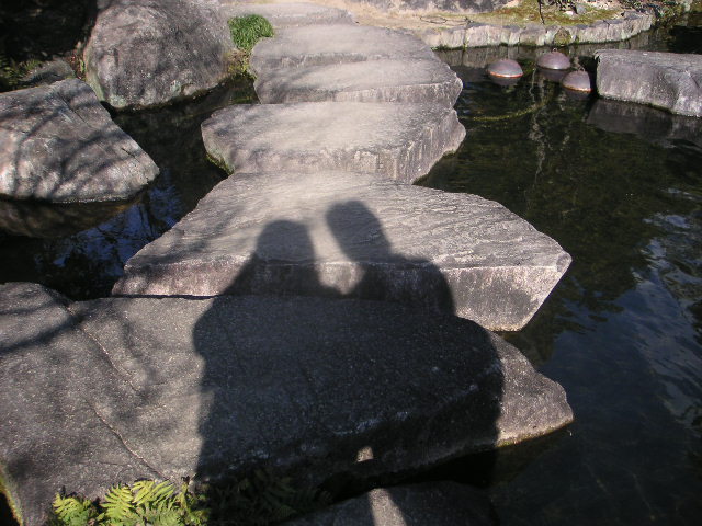 d0068879_16491.jpg