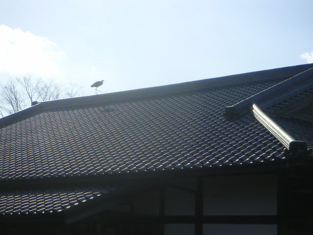 d0068879_17453.jpg