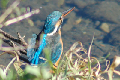 c0047589_830220.jpg