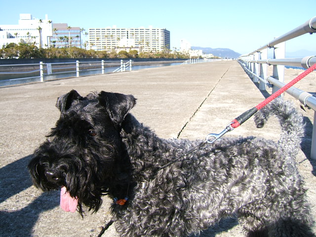 c0037701_10501095.jpg