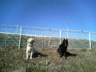 f0109202_051872.jpg
