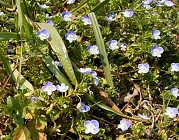 f0032403_1432783.jpg
