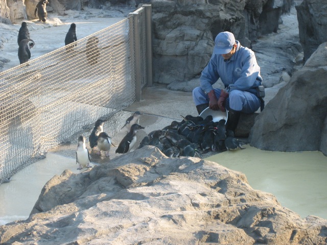 葛西臨海水族園_c0077705_07317.jpg